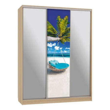 Шкаф-купе Бассо 9-600 77