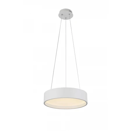 2541/400P WHITE (1) Подвесной светильник (RL) 