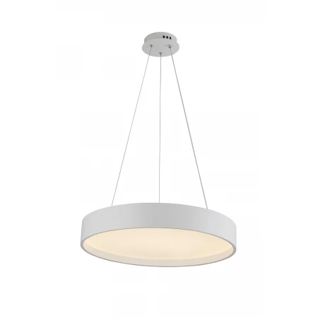 2541/600P WHITE (1) Подвесной светильник (RL) 