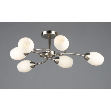 7123/6 SN (1) Люстра RL 