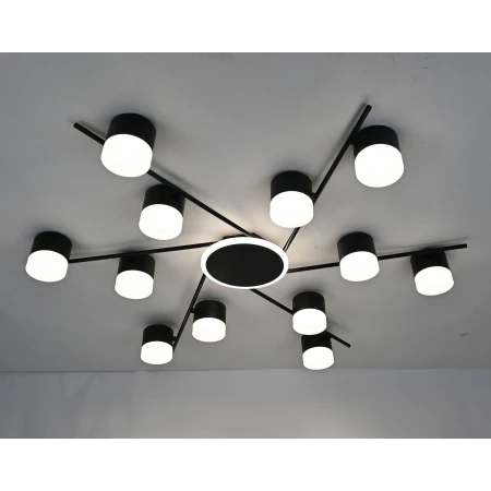 PRD-C 1219-12 BK (1) Люстра RL 