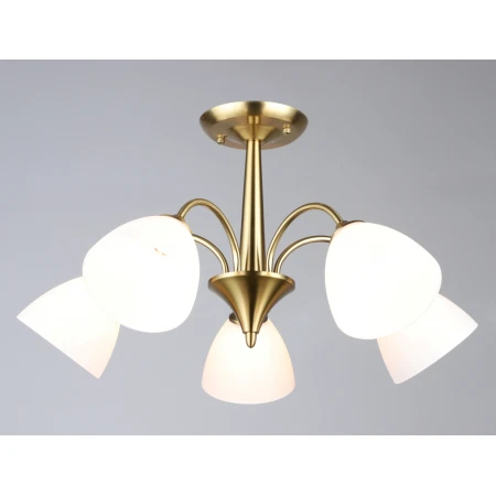 6987/5 COP (1) Люстра RL 