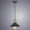 Подвесной светильник Arte Lamp A5067SP-1BK