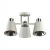 Потолочная люстра Lumion Gretchen 5219/3C