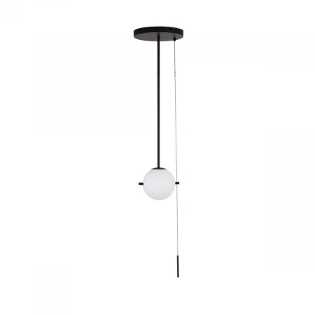 Подвесной светильник Loft IT Signal 10029PS Black