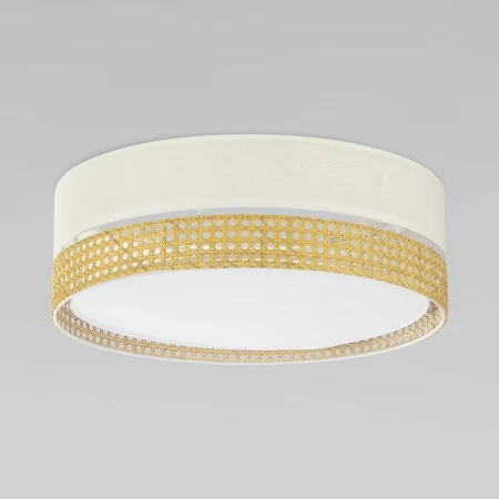 Потолочный светильник TK Lighting 6690 Paglia