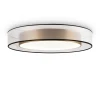Потолочный светодиодный светильник Freya Zoticus FR6005CL-L48G