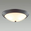 Настенно-потолочный светильник Lumion Kayla 5263/3C
