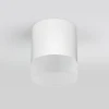 Уличный светодиодный светильник Elektrostandard Light Led 35140/H белый 4690389177958