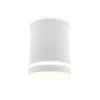 Потолочный светильник Ambrella light Techno TN3202