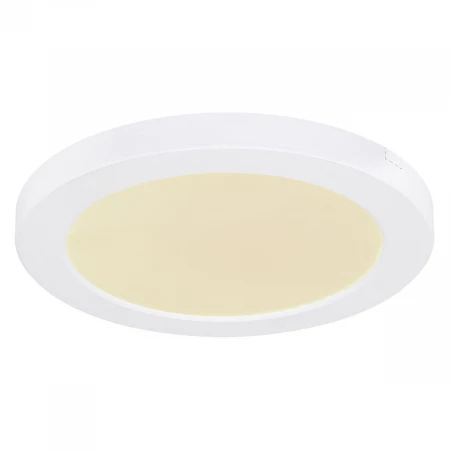 Настенно-потолочный светодиодный светильник Globo Lasse 12379-18W