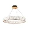 Подвесная люстра Odeon Light CROSSA 5072/100L