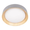 Потолочный светодиодный светильник Loft IT Coin 10202 Grey