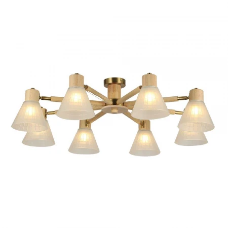 Потолочная люстра Arte Lamp Meleph A4096PL-8BR