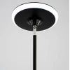 Торшер Citilux Click CL810021