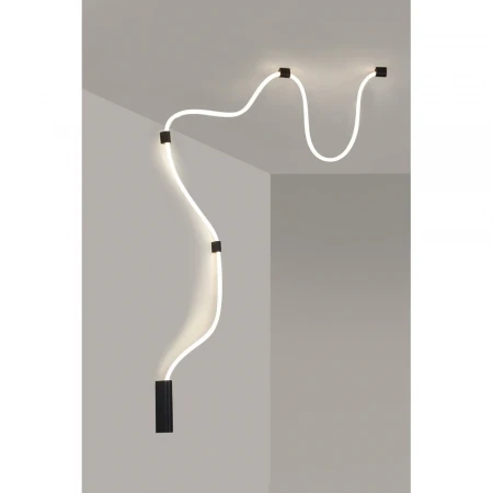 Светильник настенно-потолочный Aployt Sindrillon APL.773.02.78