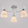 Потолочный светильник Reluce 07303-0.3-03