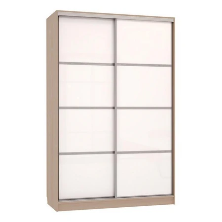 Шкаф-купе Рио 2