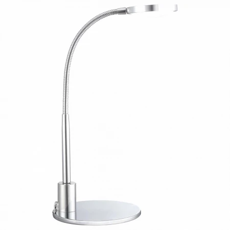 Настольная лампа офисная Pegasi 24103