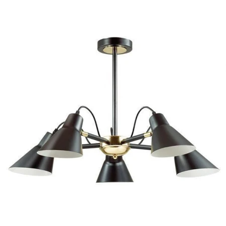 Люстра Lumion 3709/5C NAOMI