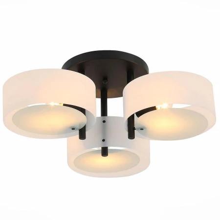 Светильник ST LUCE SL483.402.03 Foresta