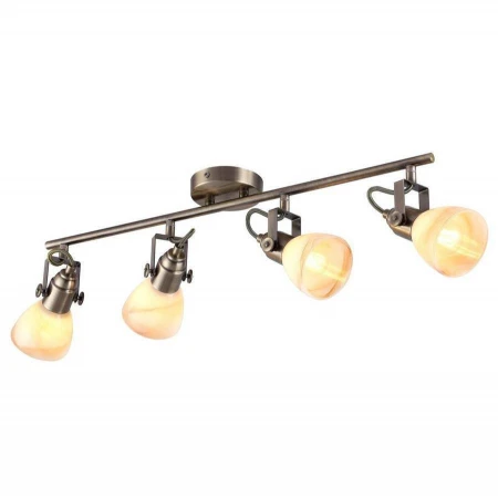 Спот Arte Lamp A9581PL-4AB TULIP