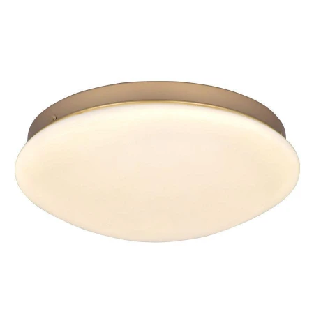 Светильник F-Promo 2466-2C Ledante