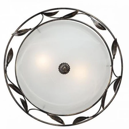 Настенно-потолочный светильник Vitaluce V6858/2A