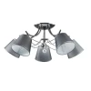 Потолочная люстра Lumion Porta 2974/5C