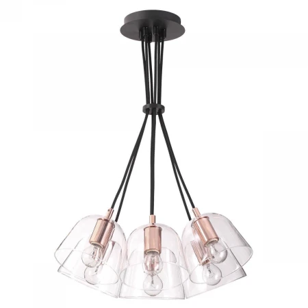 Подвесная люстра Lumion Joseph 4455/6