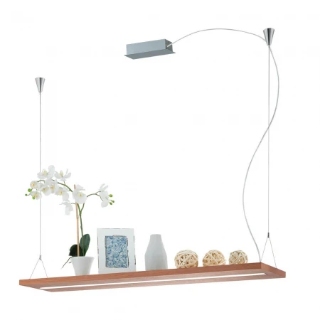 Подвесной светодиодный светильник Eglo Monroy 39328