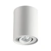 Потолочный светильник Odeon Light Pillaron 3564/1C