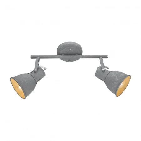 Спот Arte Lamp A1677PL-2GY