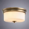 Потолочный светильник Arte Lamp A1735PL-3SR